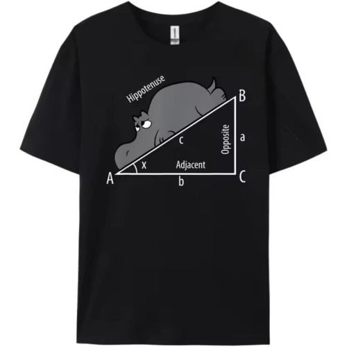 Funny Math Humor Hippotenuse Hypotenuse Funny Clothing T-Shirt Figures Black