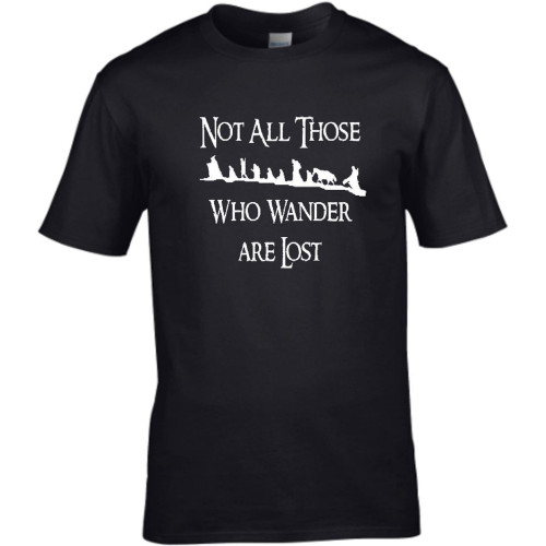 Lord of The Rings Not All Those who Wander Inspired Movie Kids T-Shirt (9-11) Black Lord of The Rings Not All Those who Wander Inspired Movie Kids T-Shirt (9-11) Black