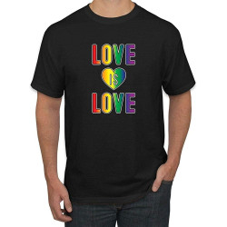 Love is Love Cute Rainbow LGBTQ Gay LGBT Pride T Shirt